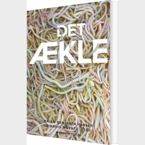 Det �kle - Brian Benjamin Hansen - Bog