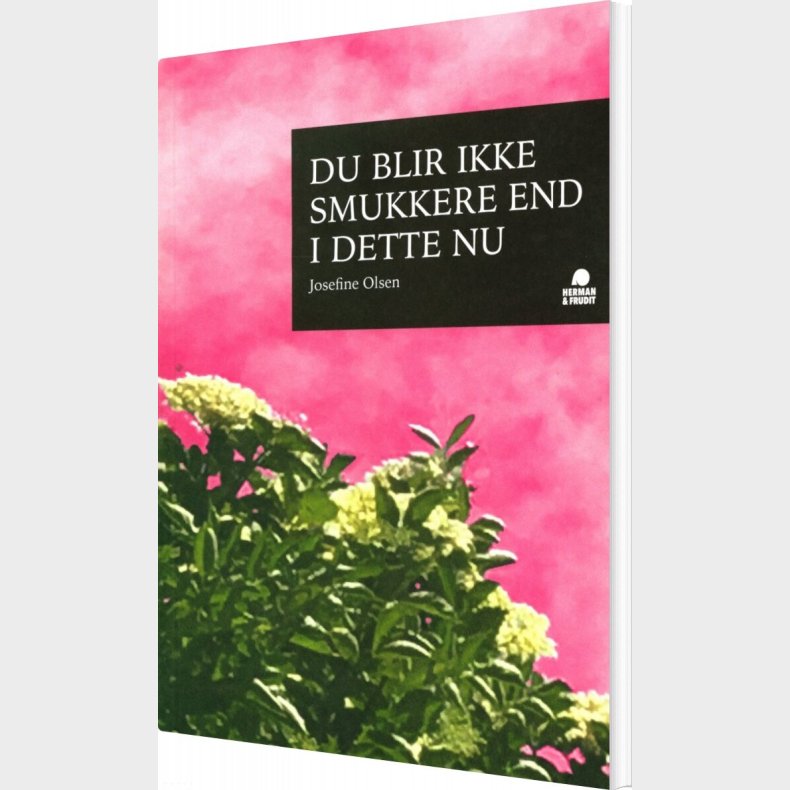 Du Blir Ikke Smukkere End I Dette Nu - Josefine Olsen - Bog