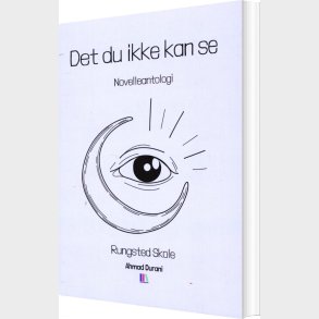 Det Du Ikke Kan Se - Novelleantologi - Rungsted Skole - Ahmad Durani - Bog