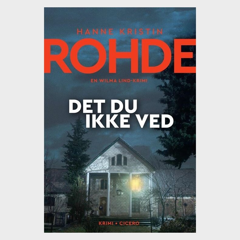 Det Du Ikke Ved - Hanne Kristin Rohde - Bog