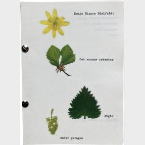 Det Enorme Orkester - Ronja Edelfeldt - Bog