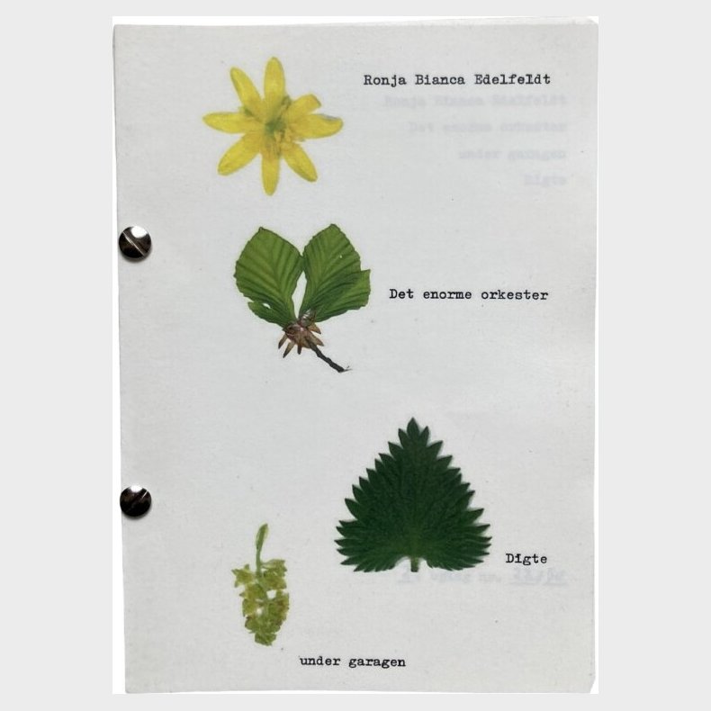 Det Enorme Orkester - Ronja Edelfeldt - Bog