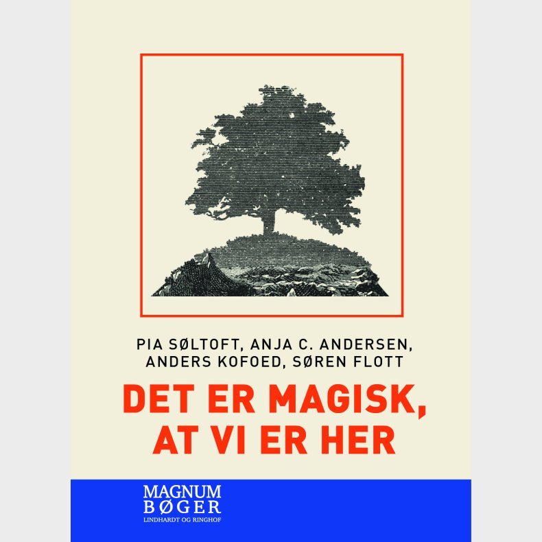 Det Er Magisk, At Vi Er Her (storskrift) - Anja C. Andersen - Bog