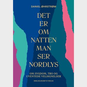 Det Er Om Natten Man Ser Nordlys - Daniel �hrstr�m - Bog