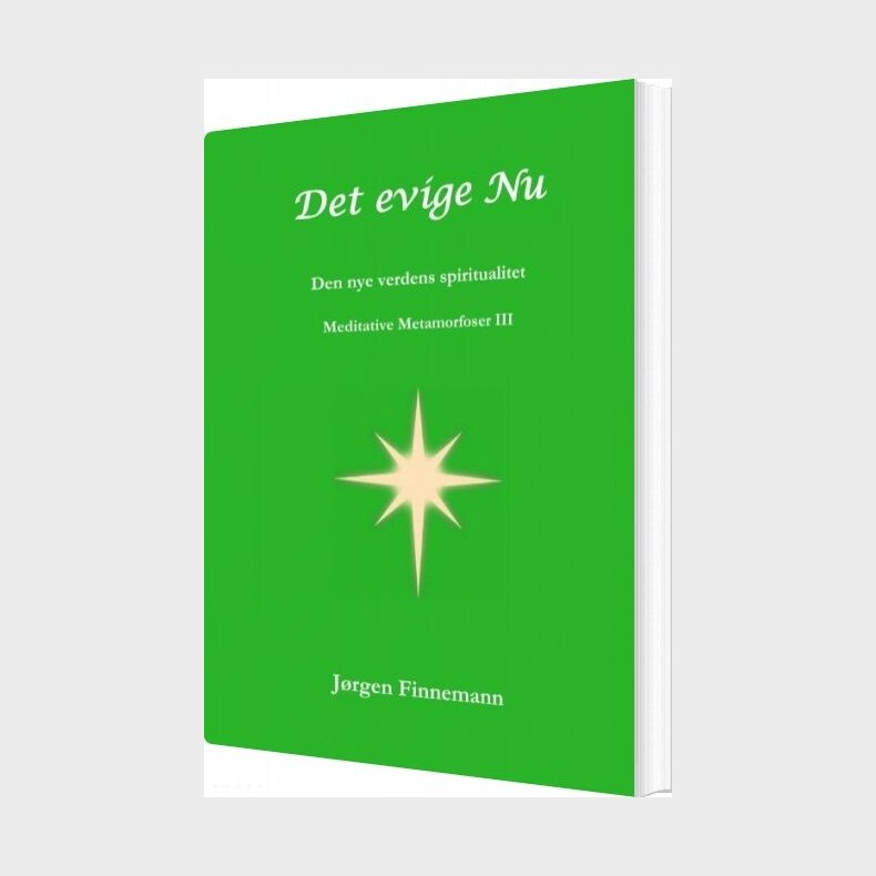Det Evige Nu - J�rgen Finnemann - Bog
