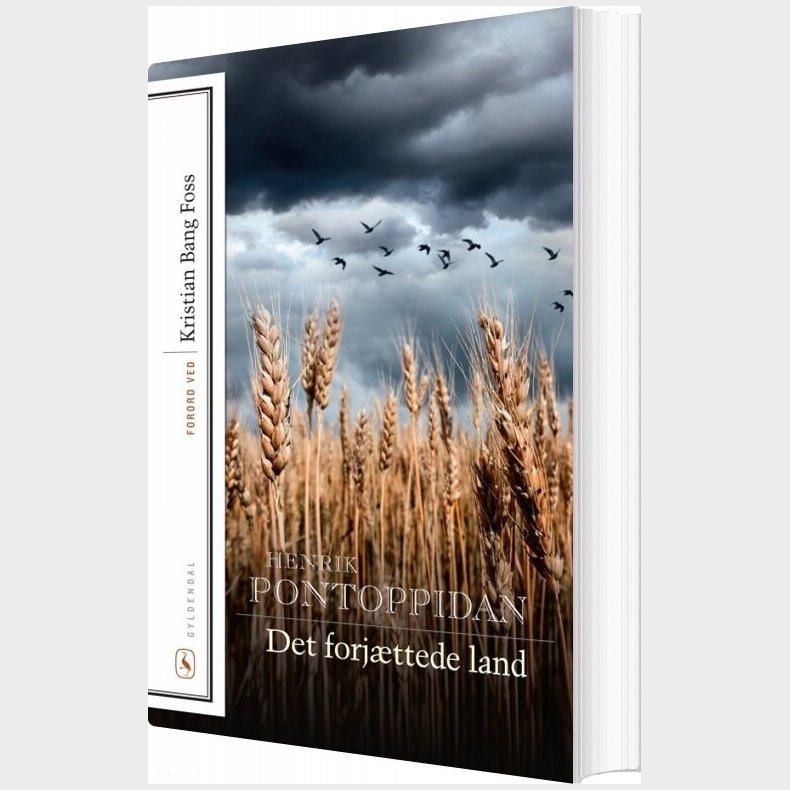 Det Forjttede Land - Henrik Pontoppidan - Bog