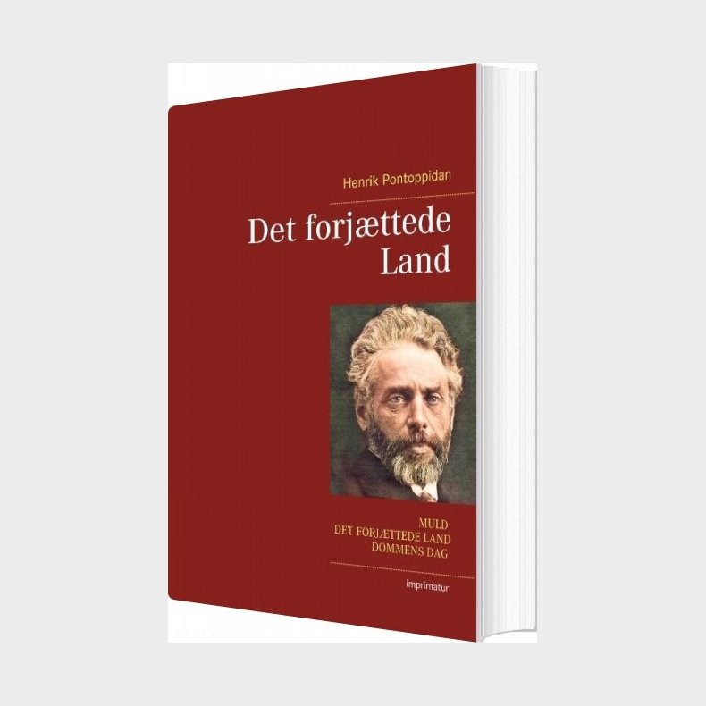 Det Forj�ttede Land - Henrik Pontoppidan - Bog