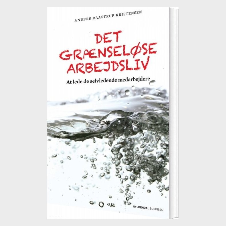 Det Gr�nsel�se Arbejdsliv - Anders Raastrup Kristensen - Bog