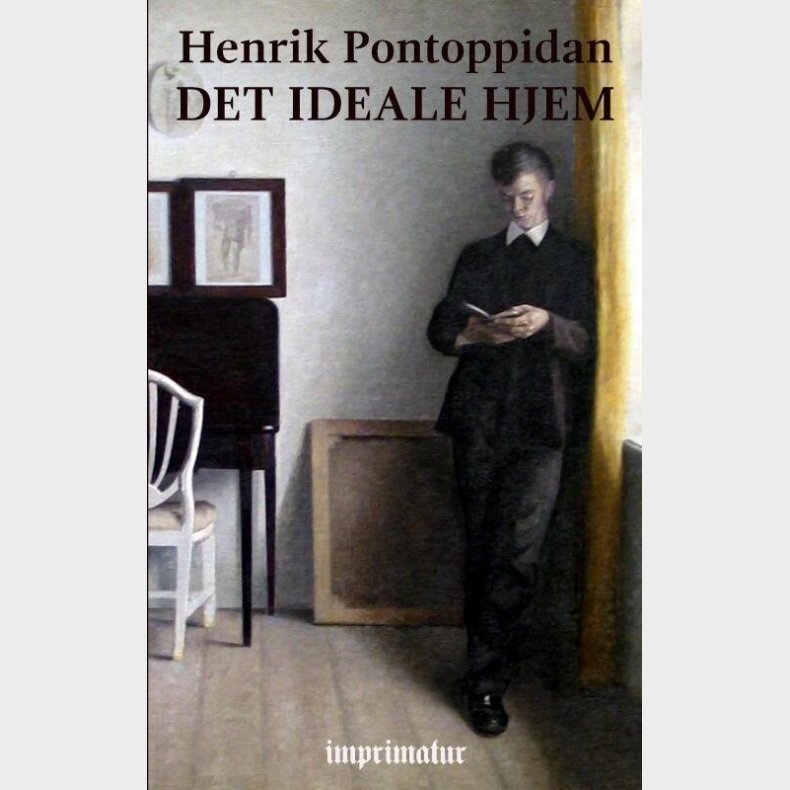 Det Ideale Hjem - Henrik Pontoppidan - Bog