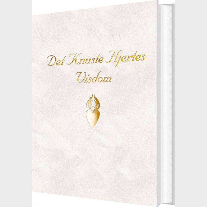 Det Knuste Hjertes Visdom - Lars Muhl - Bog