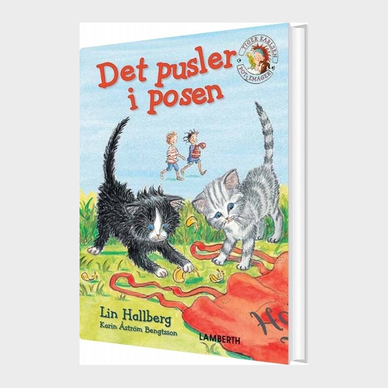 Det Pusler I Posen - Lin Hallberg - Bog