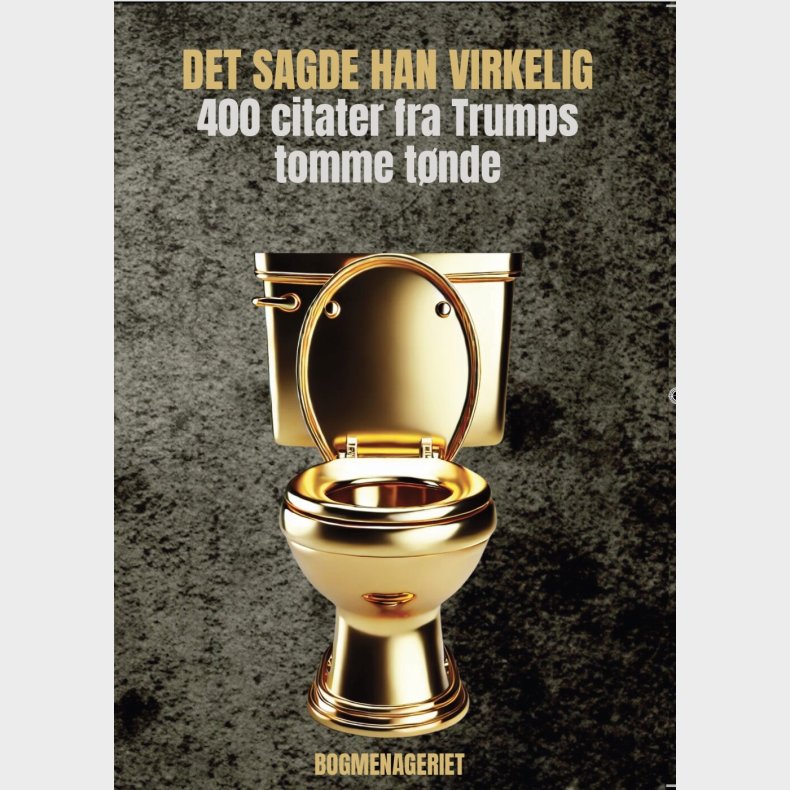 Det Sagde Han Virkelig - Susanne Staun - Bog