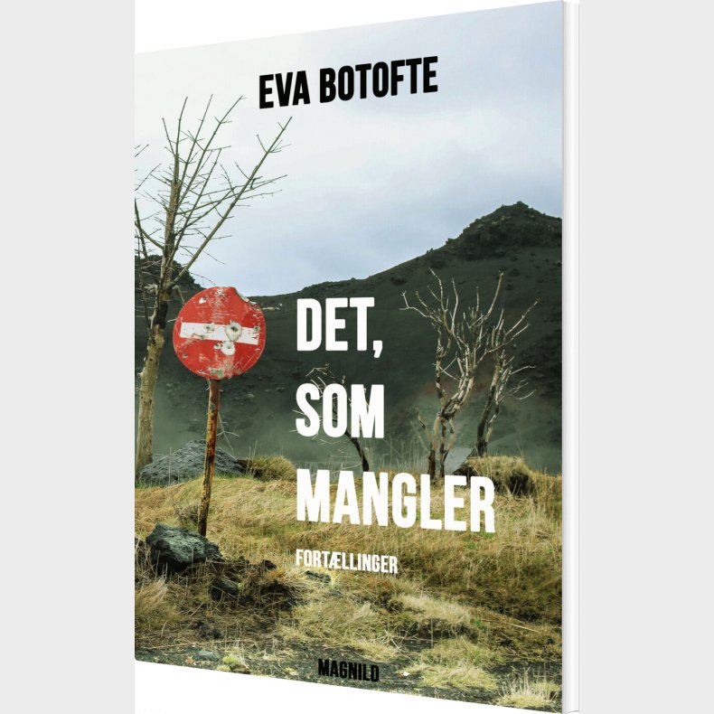 Det, Som Mangler - Eva Botofte - Bog
