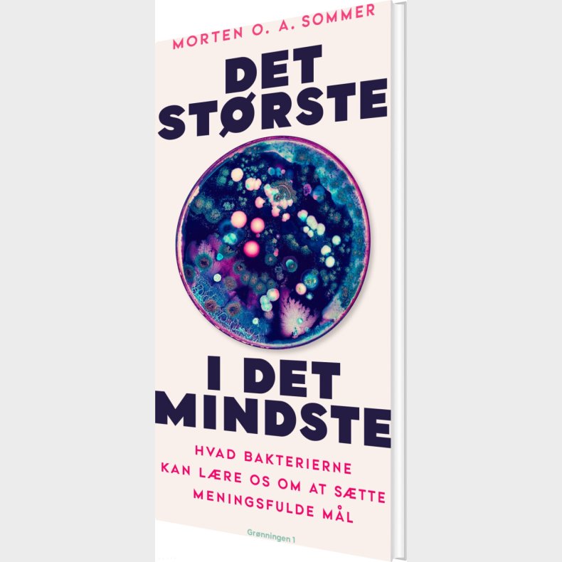 Det St�rste I Det Mindste - Morten O. A. Sommer - Bog