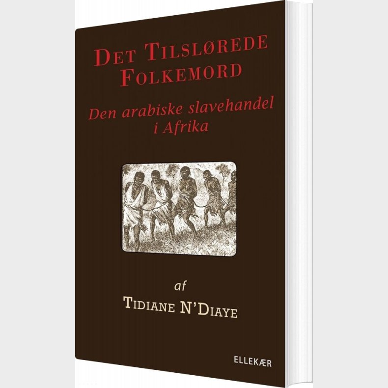 Det Tilsl�rede Folkemord - Tidiane N'diaye - Bog
