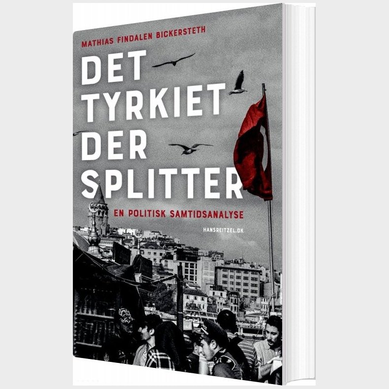 Det Tyrkiet Der Splitter - Mathias Findalen Bickersteth - Bog