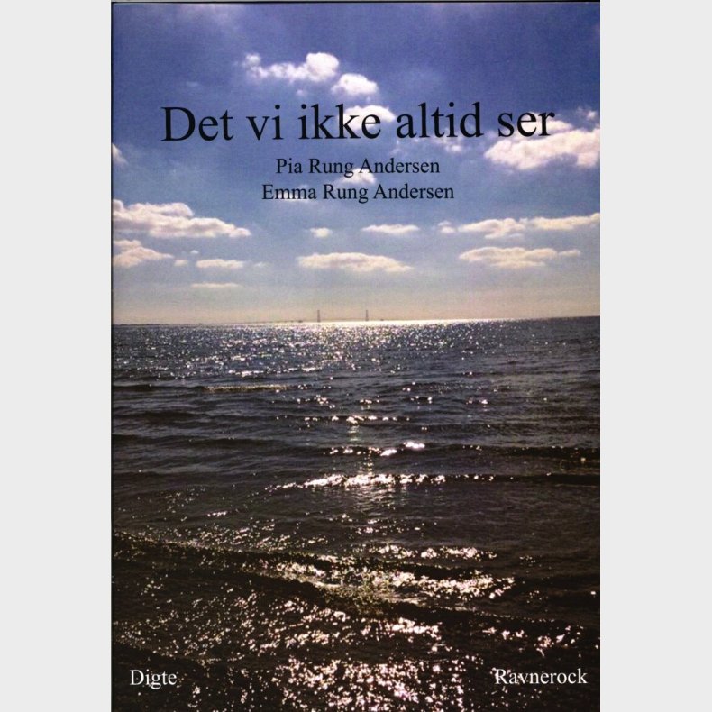 Det Vi Ikke Altid Ser - Pia Rung Andersen - Bog