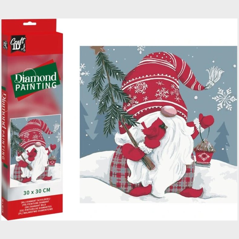 Diamond Painting 30 X 30 Cm - Jul Nisse