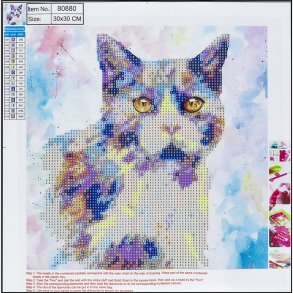 Diamond Painting 30 X 30 Cm - Kat - Centrum