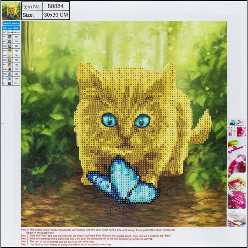 Diamond Painting 30 X 30 Cm - Kat - Centrum