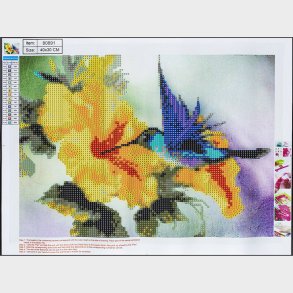 Diamond Painting 30 X 40 Cm - Kolibri - Centrum