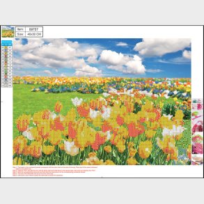 Diamond Painting 30 X 40 Cm - Tulipanmark - Centrum