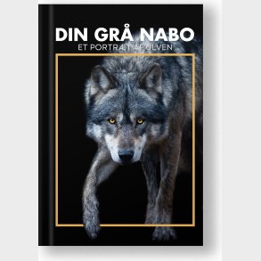 Din Gr� Nabo - Bog