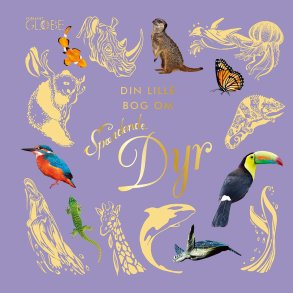 Din Lille Bog Om Spndende Dyr - Ben Hoare - Bog