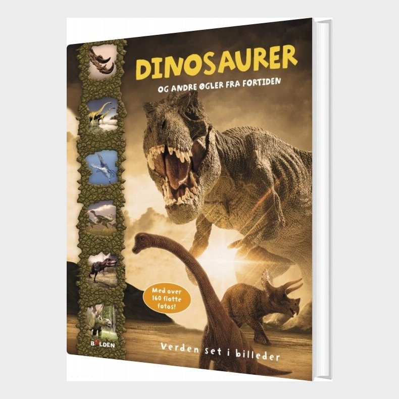 Dinosaurer Og Andre �gler Fra Fortiden - Bog