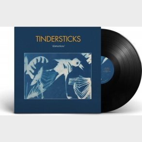 Tindersticks - Distractions - Vinyl Lp
