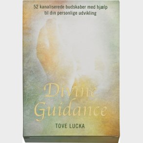 Divine Guidance - Tove Lucka - Bog