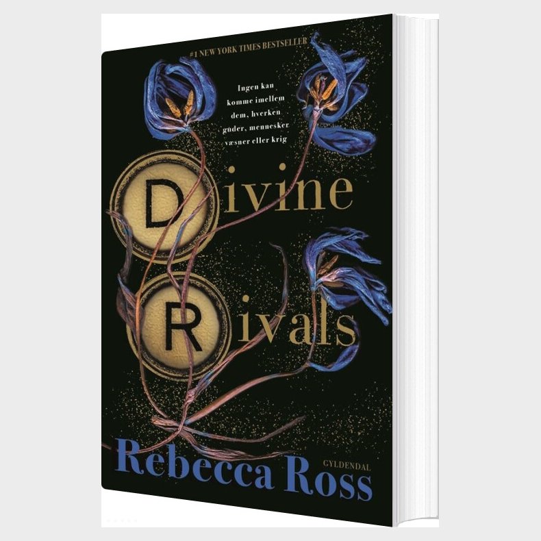 Divine Rivals - Rebecca Ross - Bog