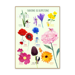 Plakat 50 x 70 cm - Farverne og blomsterne Dansk