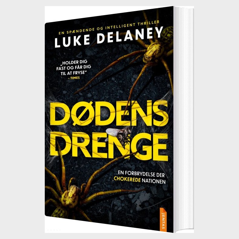 D�dens Drenge - Luke Delaney - Bog