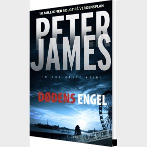 D�dens Engel - Peter James - Bog