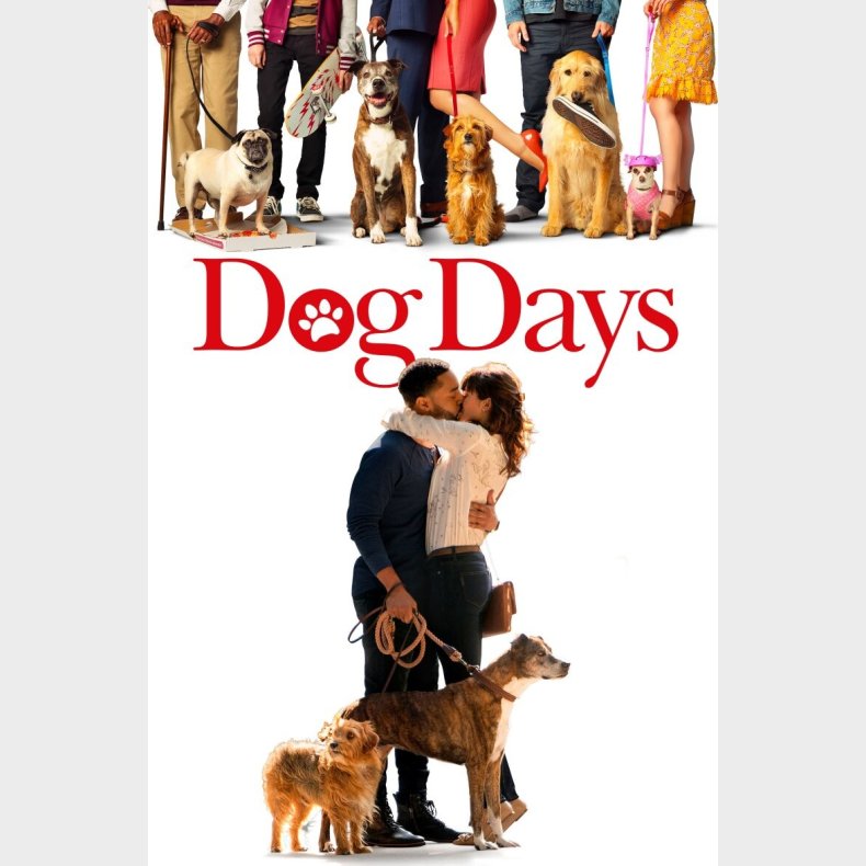 Dog Days - DVD - Film