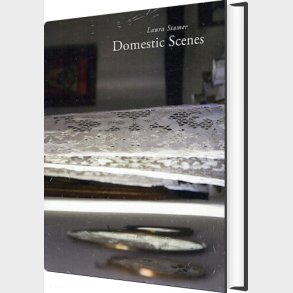 Domestic Scenes - Laura Stamer - Bog