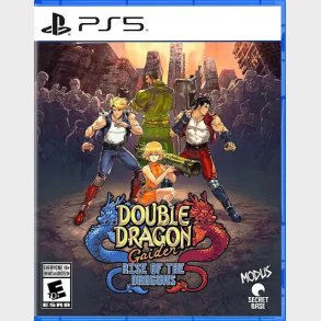 Double Dragon Gaiden: Rise Of The Dragons  - PS5