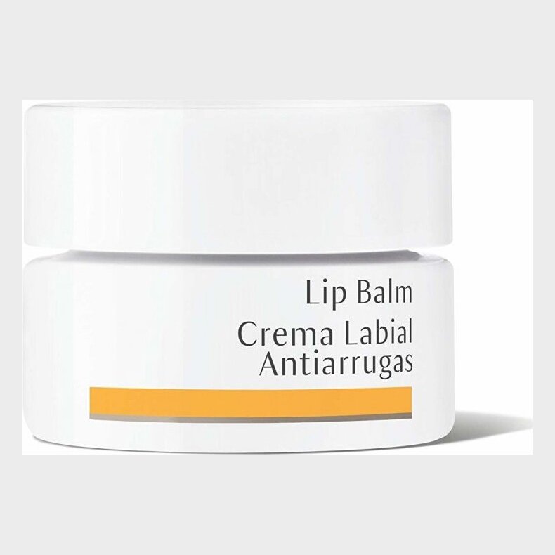 Dr. Hauschka - Lip Balm 4,5 Ml