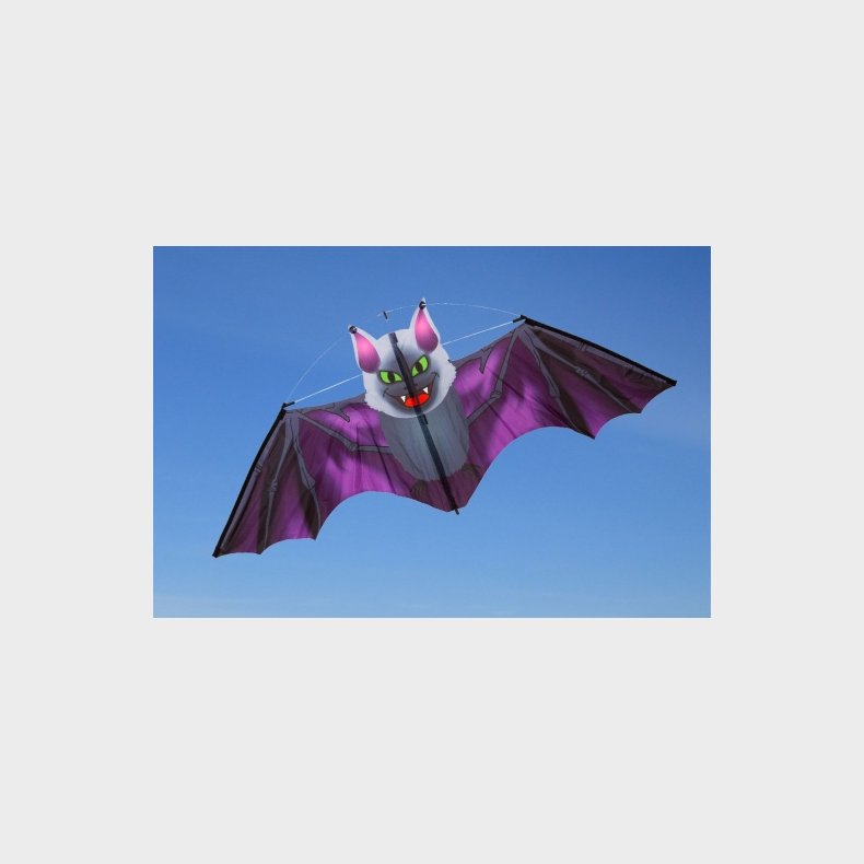 HQ Kites | Drage - Flagermus 117 x 47 cm