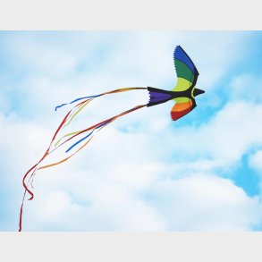 Wolkenstrmer | Drage - Fugl (130 x 75 cm.)