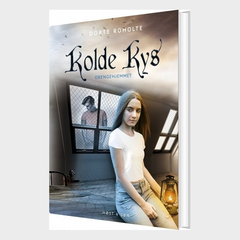 Drengehjemmet - Kolde Kys - Dorte Roholte - Bog