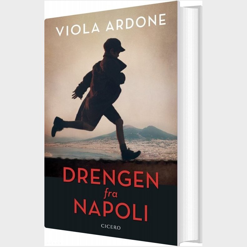 Drengen Fra Napoli - Viola Ardone - Bog