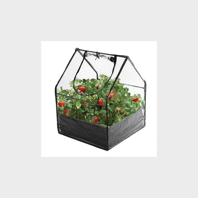 Hortus | Drivhus mini, 85 x 65 x 65 cm