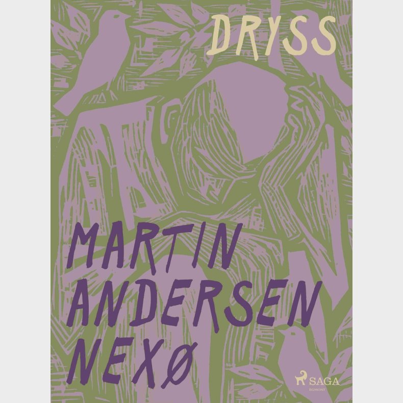 Dryss - Martin Andersen Nex� - Bog