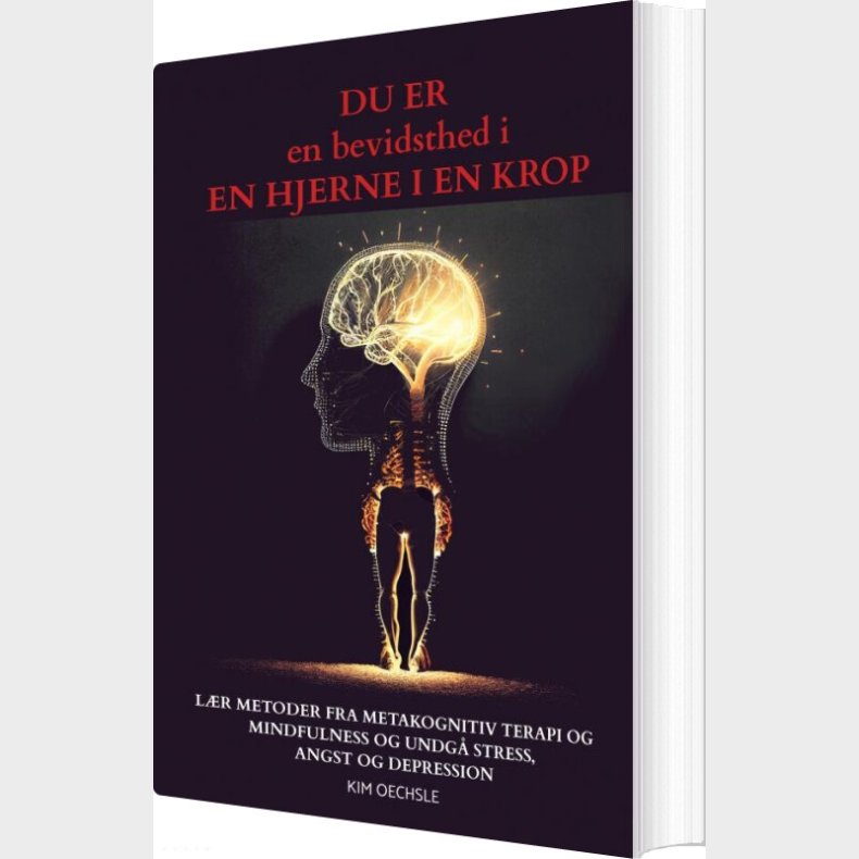 Du Er En Bevidsthed I En Hjerne I En Krop - Kim Oechsle - Bog