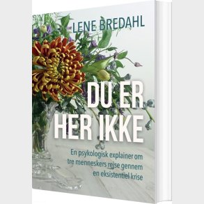 Du Er Her Ikke - Lene Bredahl - Bog