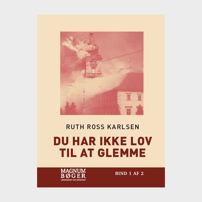 Du Har Ikke Lov Til At Glemme (storskrift) - Ruth Ross Karlsen - Bog