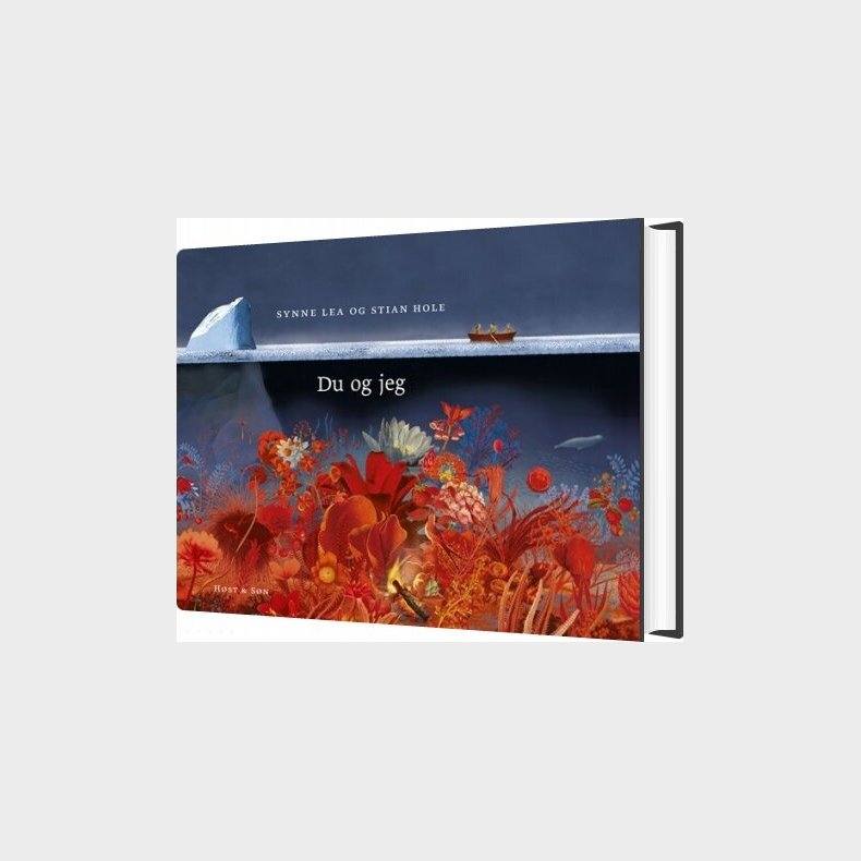 Du Og Jeg - Stian Hole - Bog