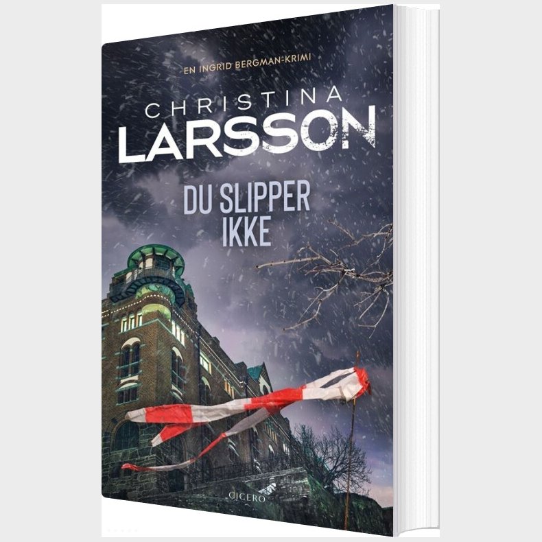 Du Slipper Ikke - Christina Larsson - Bog
